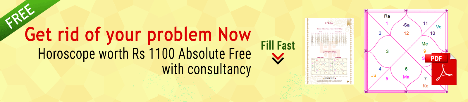 top astrologers online