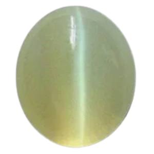astrologer_product