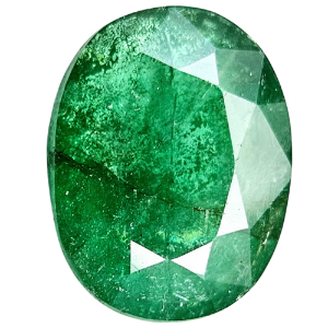 astrologer_product