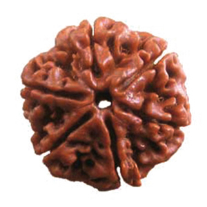 astrology_product