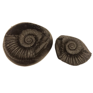astrology_product