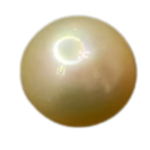 astrologer_product