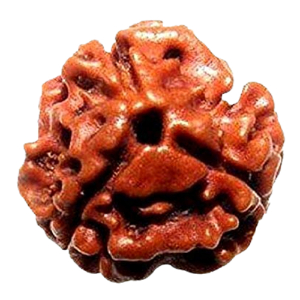 astrology_product