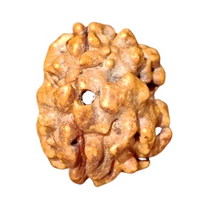 astrology_product
