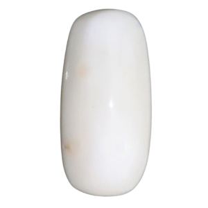 astrologer_product