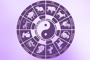 chinese-prediction